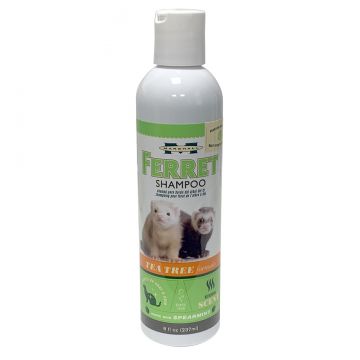 Tea Tree Shampoo